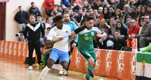 Resumen final de los Campeonatos de España Juvenil y Cadete Fútbol Sala de Almendralejo