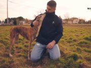 Indignación en el sector cinegético por la censura de Facebook a documental sobre abandono de perros de caza