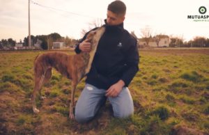 Indignación en el sector cinegético por la censura de Facebook a documental sobre abandono de perros de caza
