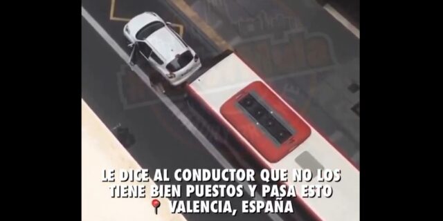 reacción de conductor de autobús en Valencia no tienes huevos