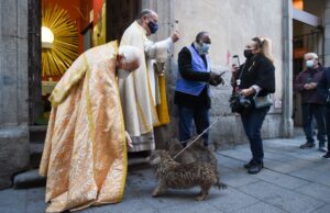 Madrid celebra el día de San Antón, la fiesta dedicada a los animales