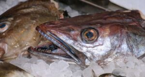 estafa venta pescado en mal estado leganés fuenlabrada humanes