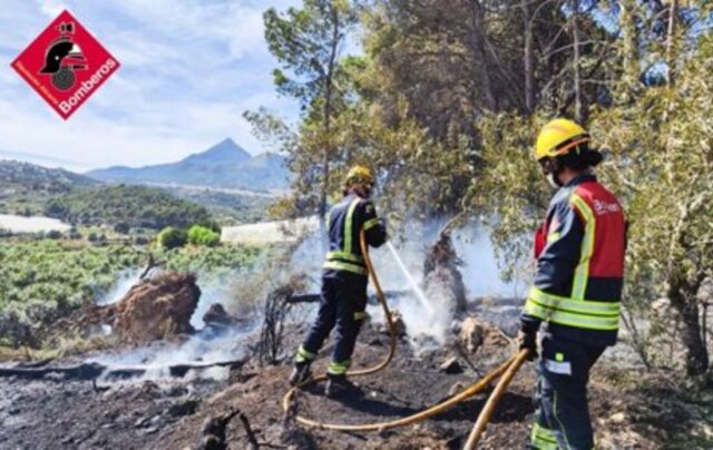 Estabilizan un incendio forestal que ha calcinado 1.400 metros de pinar en Callosa d'en Sarrià POLITICA CONSORCIO PROVINCIAL BOMBEROS ALICANTE