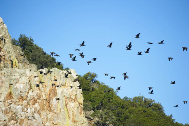 Parque Nacional de Monfragüe, reserva de la Biosfera de la UNESCO. (Diputación de Cáceres)