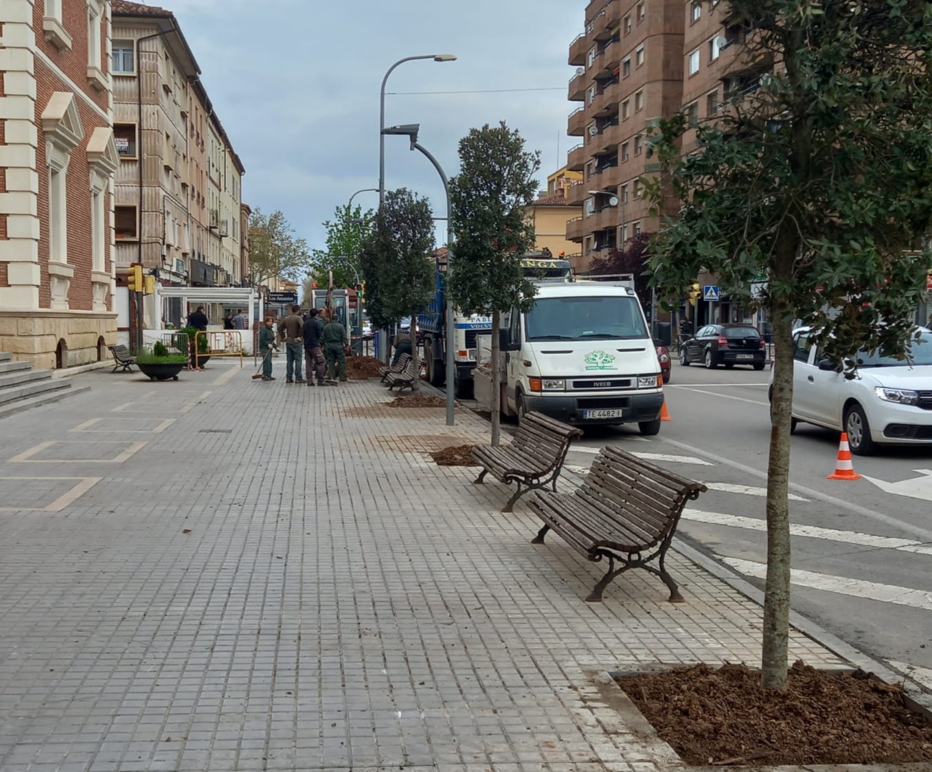 El Ayuntamiento de Teruel comienza a reponer los Ã¡rboles que no sobrevivieron a las heladas tras la borrasca Filomena