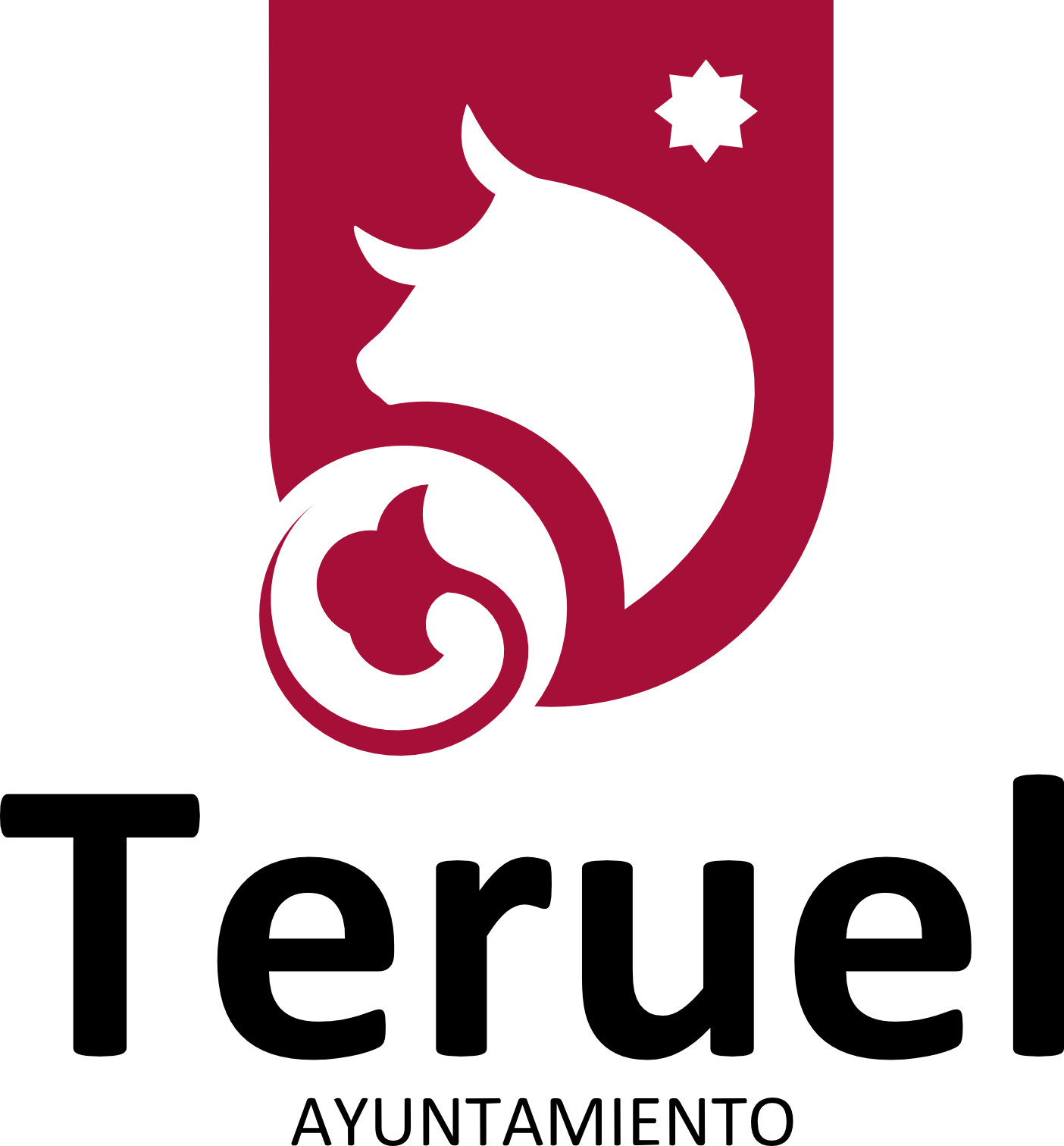 El Ayuntamiento de Teruel aprueba el nuevo reglamento del Consejo de Desarrollo Local
