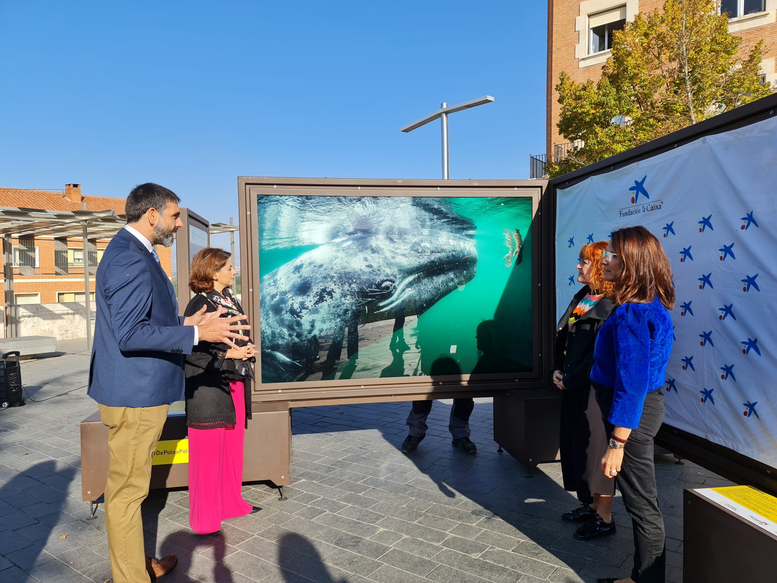 Fundación La Caixa : noticias y actualidad