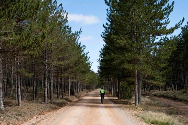 Imagen de una ruta de Teruel. EFE