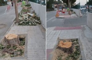 FOTO DENUNCIA | “Teruel se esta convirtiendo en solar, otros tres arboles nos han quitado”, las quejas vecinales por este motivo