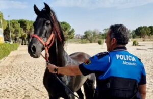 caballo desorientado por las calles de Alcorcón