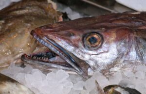estafa venta pescado en mal estado leganés fuenlabrada humanes