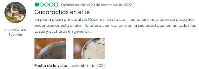 cucarachas en el té. el peor restaurante de Extremadura