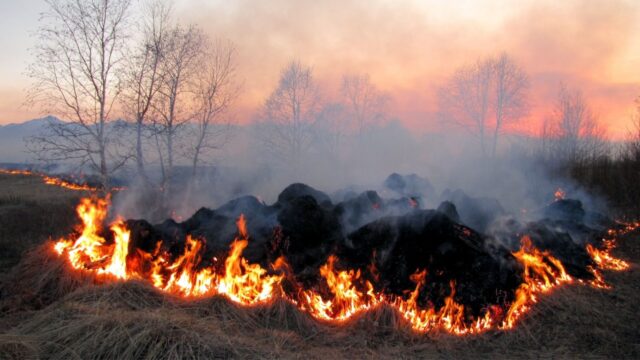 Localizado el presunto autor del incendio forestal en Palas de Rei que arrasó 126 hectáreas