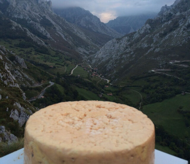 Imagen de un queso Cabrales. (Europa Press)