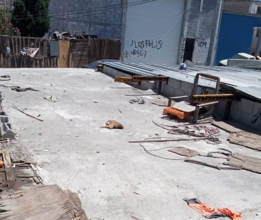FOTO DENUNCIA | “¿Alguien puede denunciar este maltrato animal?”, las quejas vecinales por el trato a estos perros en este municipio de Asturias FOTO DENUNCIA | “¿Alguien puede denunciar este maltrato animal?”, las quejas vecinales por el trato a estos perros en este municipio de Asturias