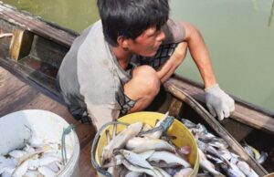 Los pescadores de islas pequeñas solicitan al presidente de Indonesia que ponga fin al dragado costero
