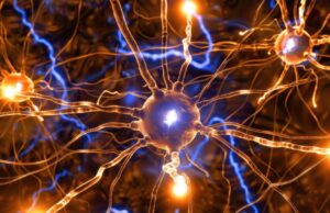 Expertos en neurooncología se darán cita en el XVII Simposio Geino en Madrid
