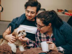 Aprobada deducción por mascota en Andalucía: consulta si el resto de comunidades también la aplican