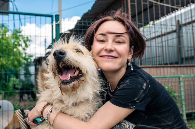 Un último adiós: un preso podrá despedirse de su perro al tener que ser sacrificado