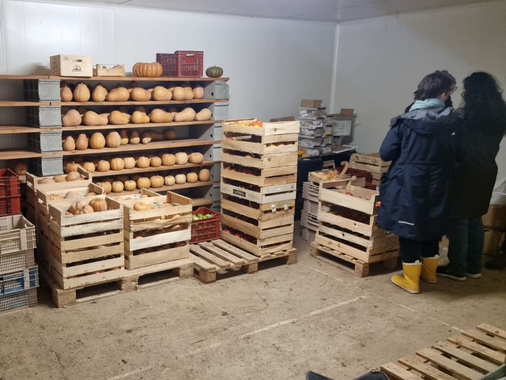 Almacén de un test agrario