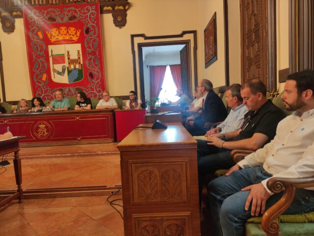 Pleno del Ayuntamiento de Zamora. Zamora Sí