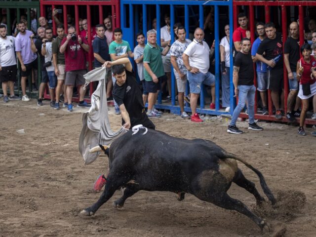 ÚLTIMA HORA | Tragedia en un encierro valenciano: fallece un hombre por una herida por asta de toro en la Pobla de Farnals
